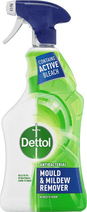 Dettol Mould & Mildrew Remover Spray 750ml