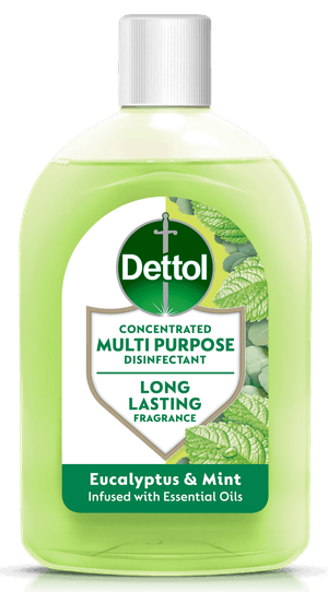 Dettol_Zophia_Eucalyptus_&_Mint_Standard_Ecom_v1 1(1).png
