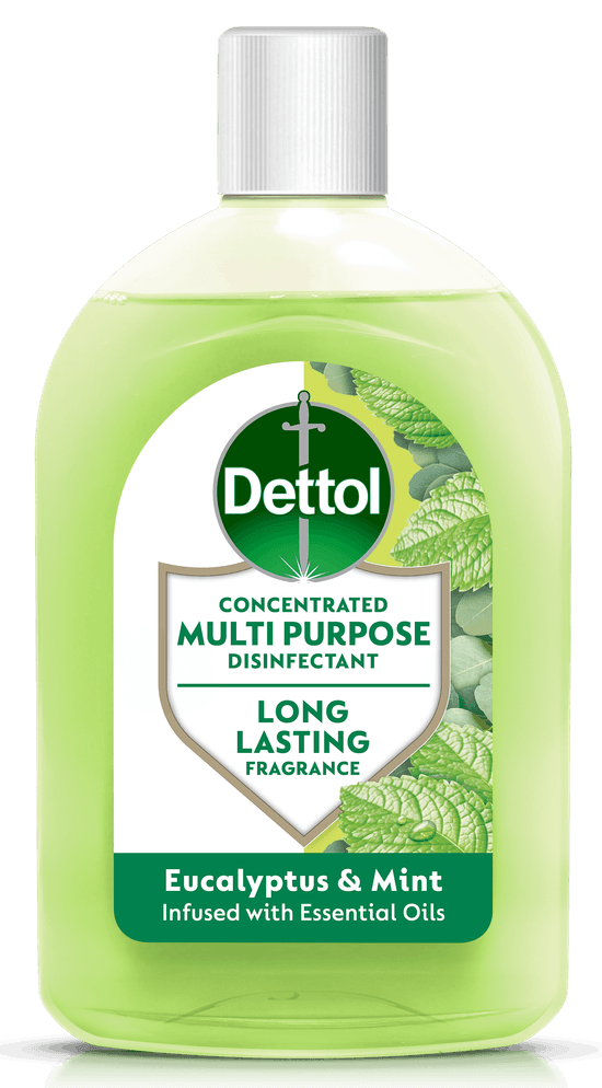 Dettol_Zophia_Eucalyptus_&_Mint_Standard_Ecom_v1 1(1).png