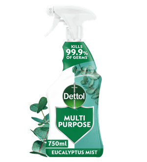 Dettol Multipurpose Cleaner Spray Eucalyptus Mist 750ml
