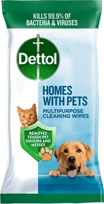Pets on rug