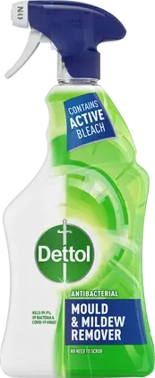 Dettol Mould & Mildrew Remover Spray 750ml
