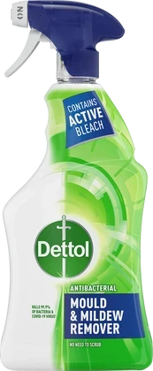 Dettol Mould & Mildrew Remover Spray 750ml
